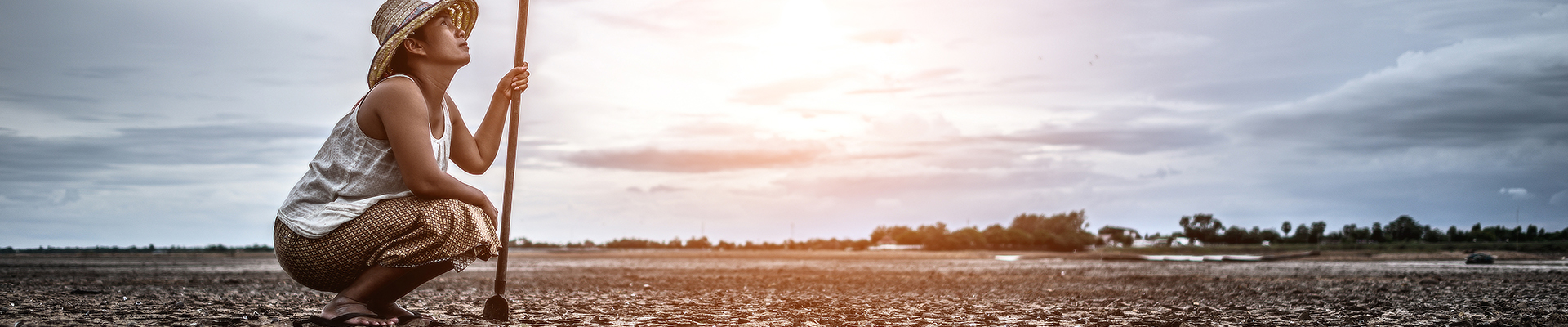blog details banner
